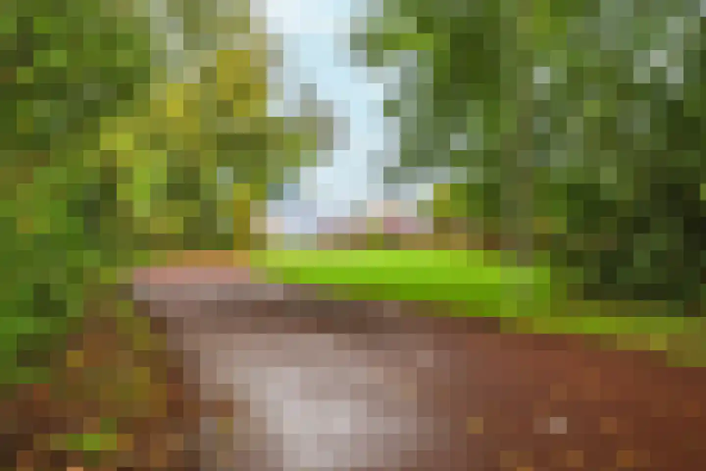 Aalsmeerhof 63 Arnhem thumbnail 56