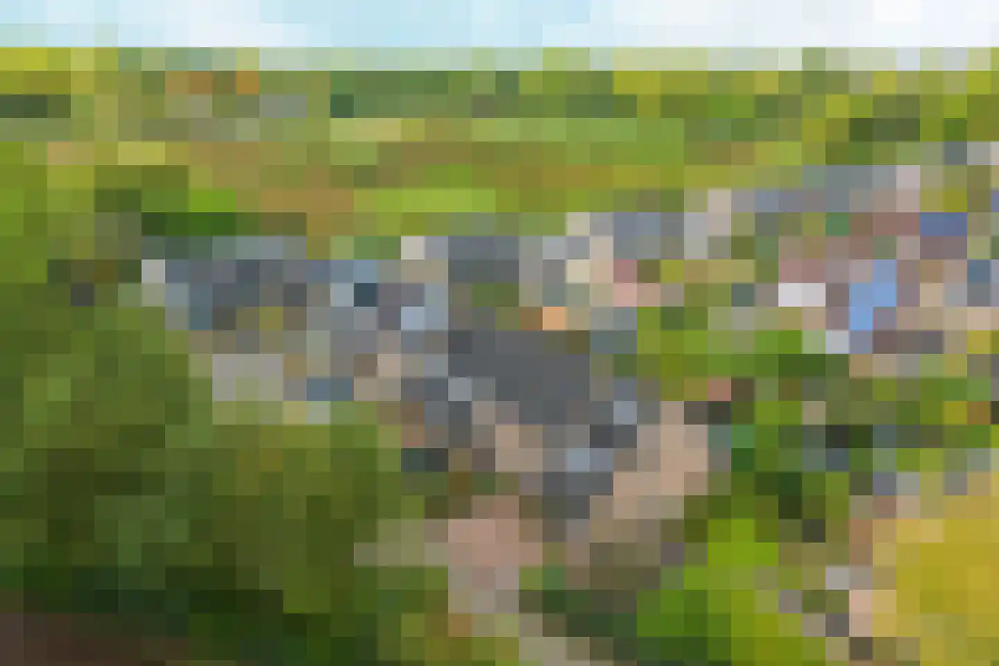 Aalsmeerhof 63 Arnhem thumbnail 57