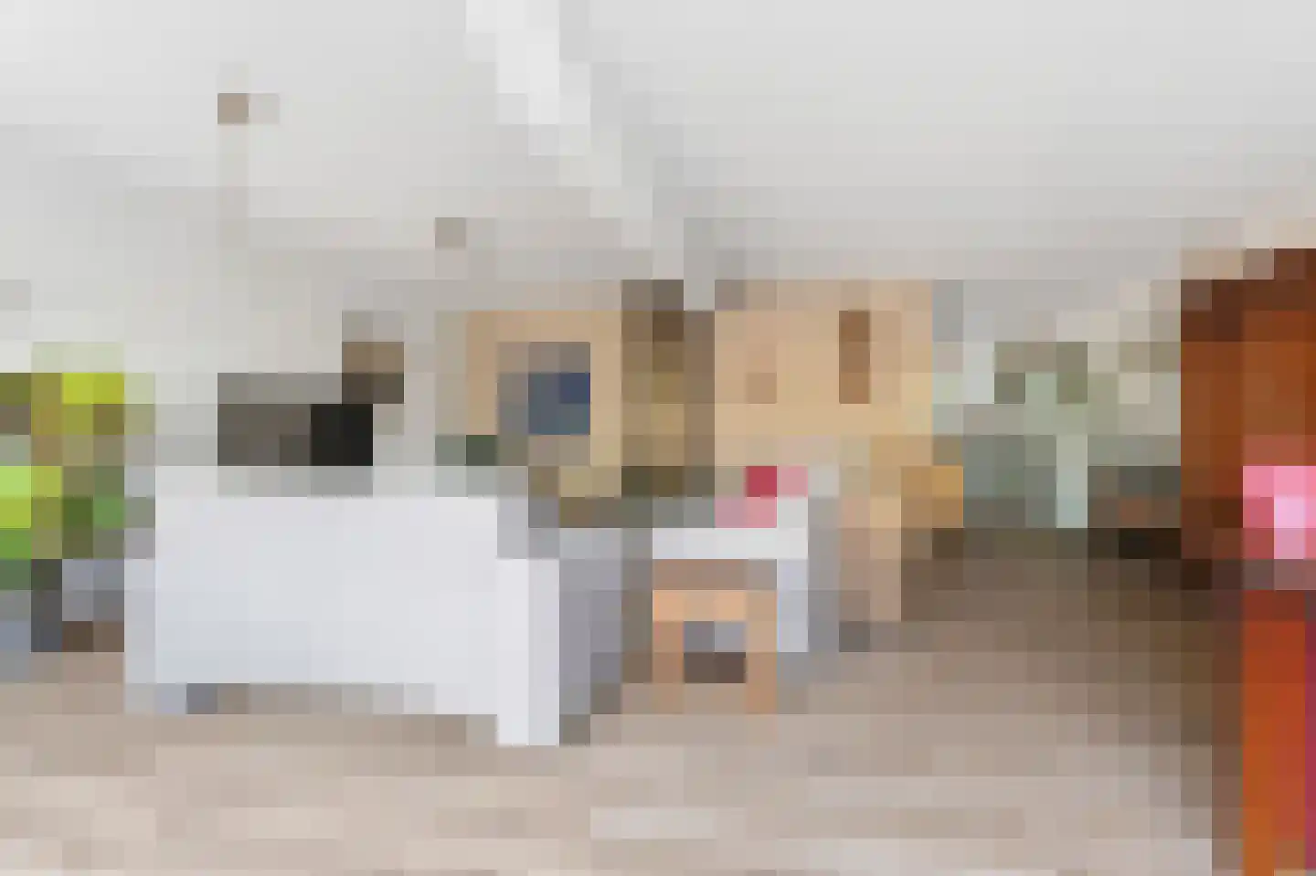 Aalsmeerhof 63 Arnhem thumbnail 7