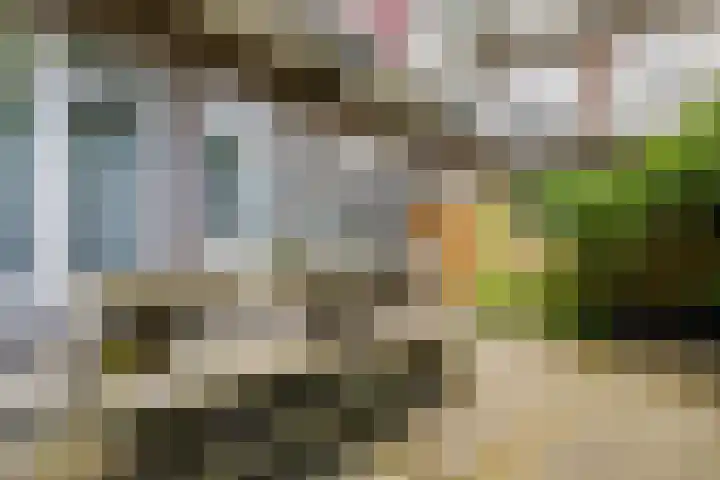 Aalsmeerplein 7 H Amsterdam thumbnail 13