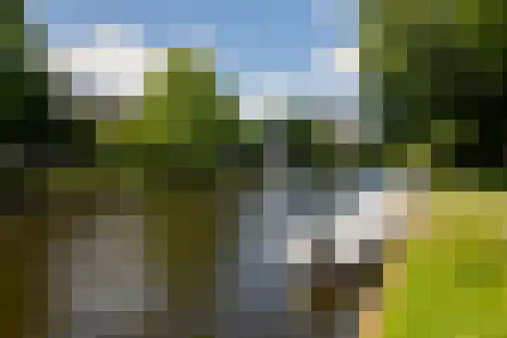 Aalsmeerplein 7 H Amsterdam thumbnail 23