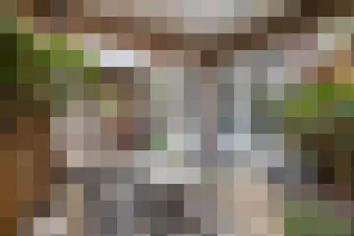 Aalsmeerplein 8 3 Amsterdam thumbnail 11
