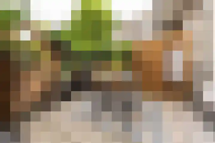 Aalsmeerplein 8 3 Amsterdam thumbnail 12