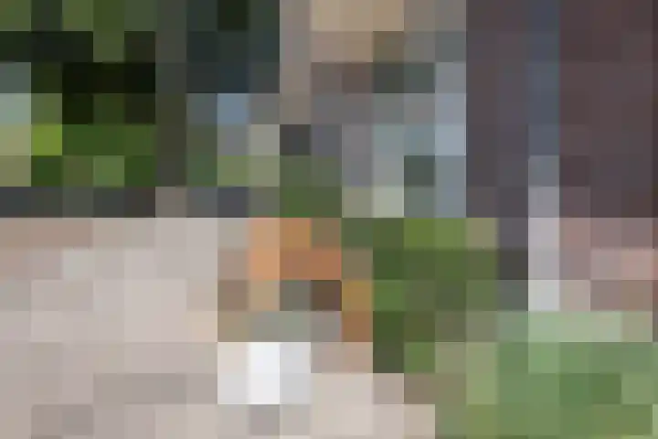 Aalsmeerplein 8 3 Amsterdam thumbnail 21