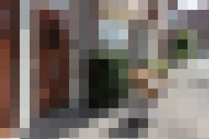 Aalsmeerplein 8 3 Amsterdam thumbnail 22