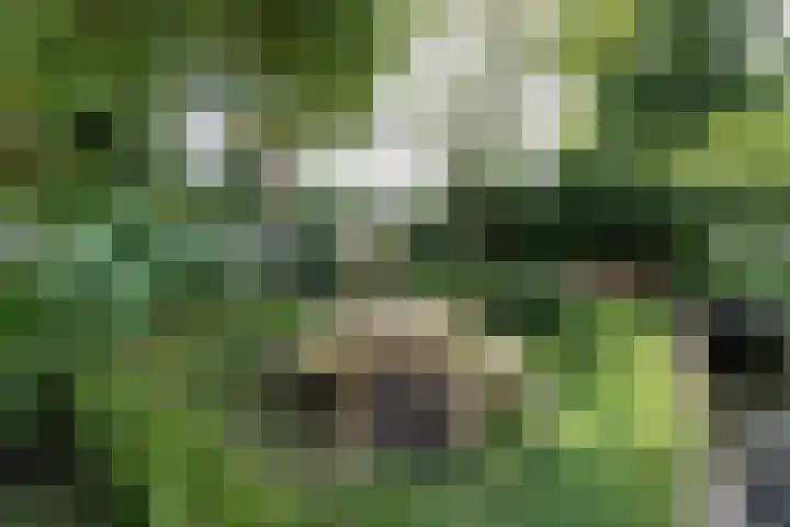 Aalsmeerplein 8 3 Amsterdam thumbnail 26