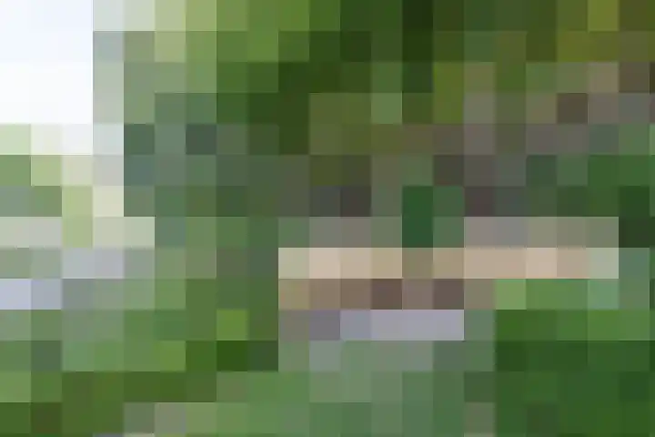 Aalsmeerplein 8 3 Amsterdam thumbnail 27