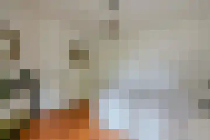 Aalsmeerweg 100 2 Amsterdam thumbnail 15