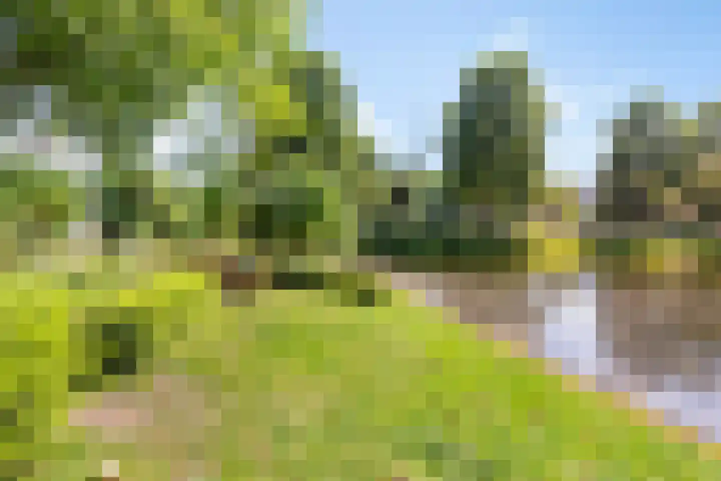 Aalsmeerweg 102 2 Amsterdam thumbnail 24