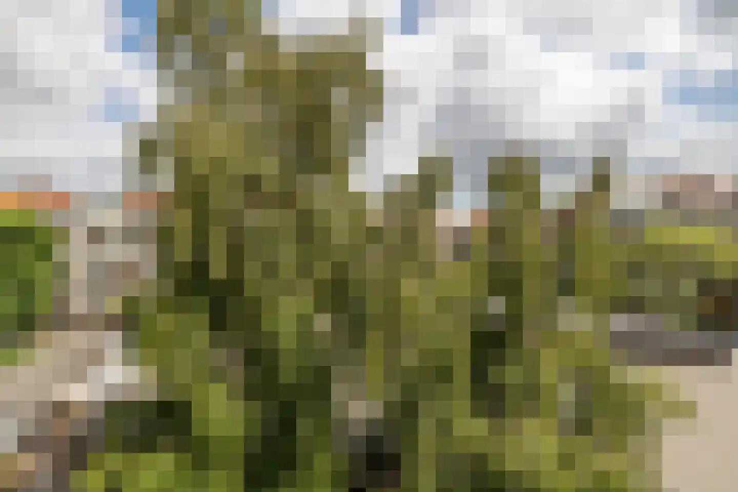Aalsmeerweg 109 1 Amsterdam thumbnail 25