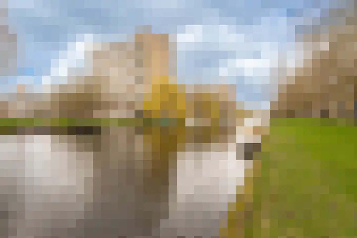 Aalsmeerweg 109 2 Amsterdam thumbnail 52
