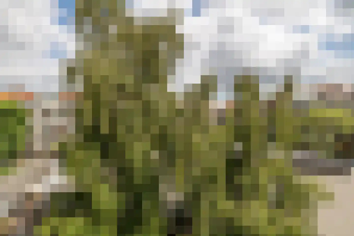 Aalsmeerweg 109 3 Amsterdam thumbnail 21