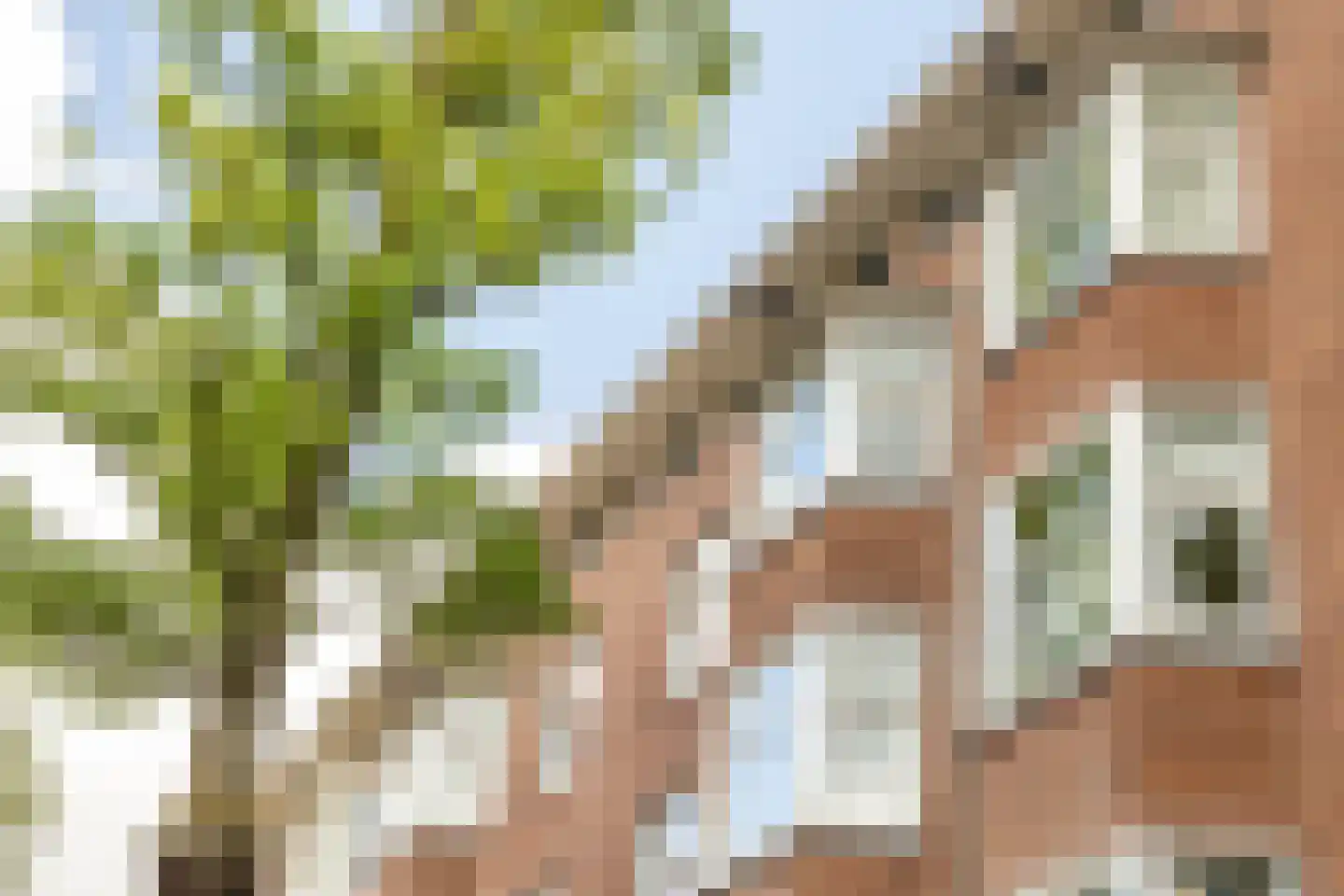 Aalsmeerweg 109 3 Amsterdam thumbnail 46