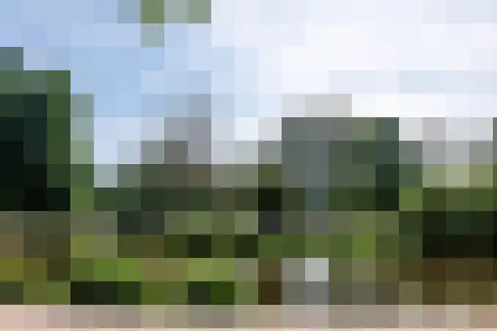 Aalsmeerweg 11 1 Amsterdam thumbnail 27