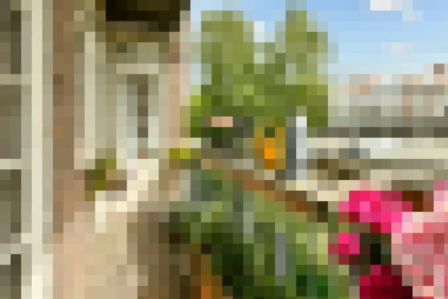 Aalsmeerweg 113 1 Amsterdam thumbnail 11
