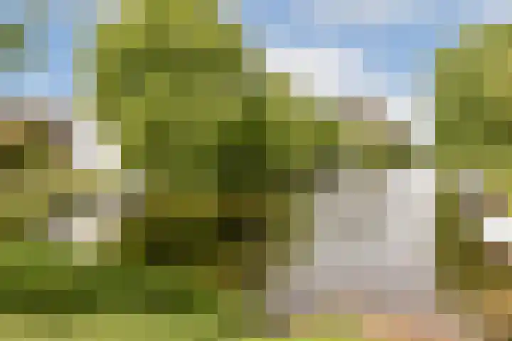 Aalsmeerweg 113 1 Amsterdam thumbnail 17
