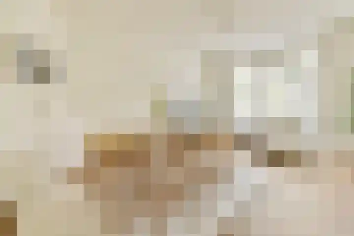 Aalsmeerweg 113 1 Amsterdam thumbnail 5