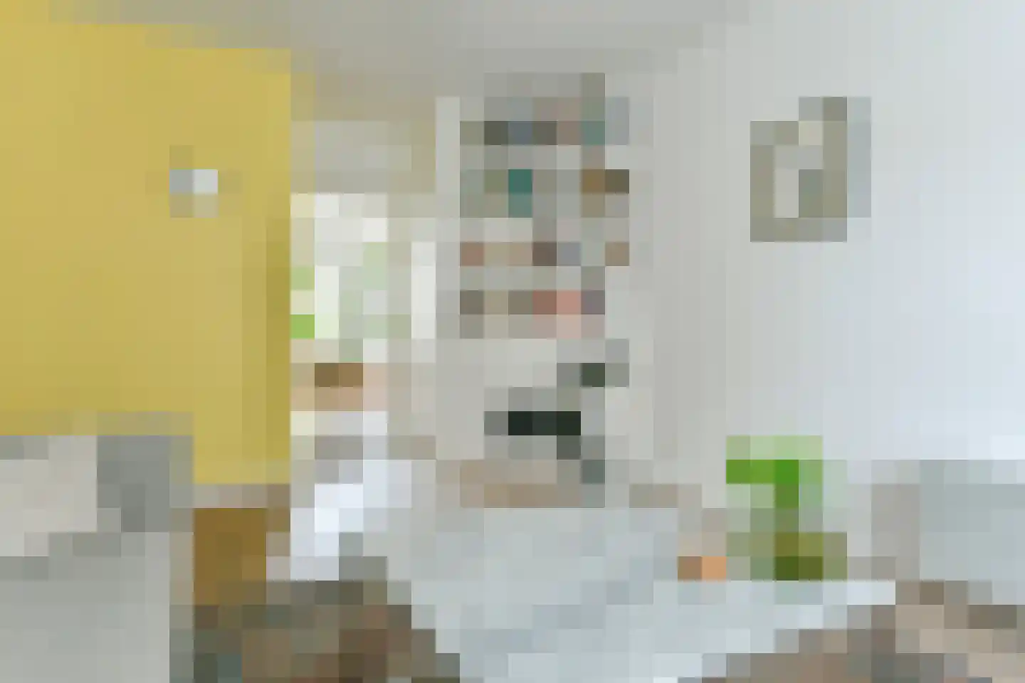 Aalsmeerweg 113 1 Amsterdam thumbnail 5
