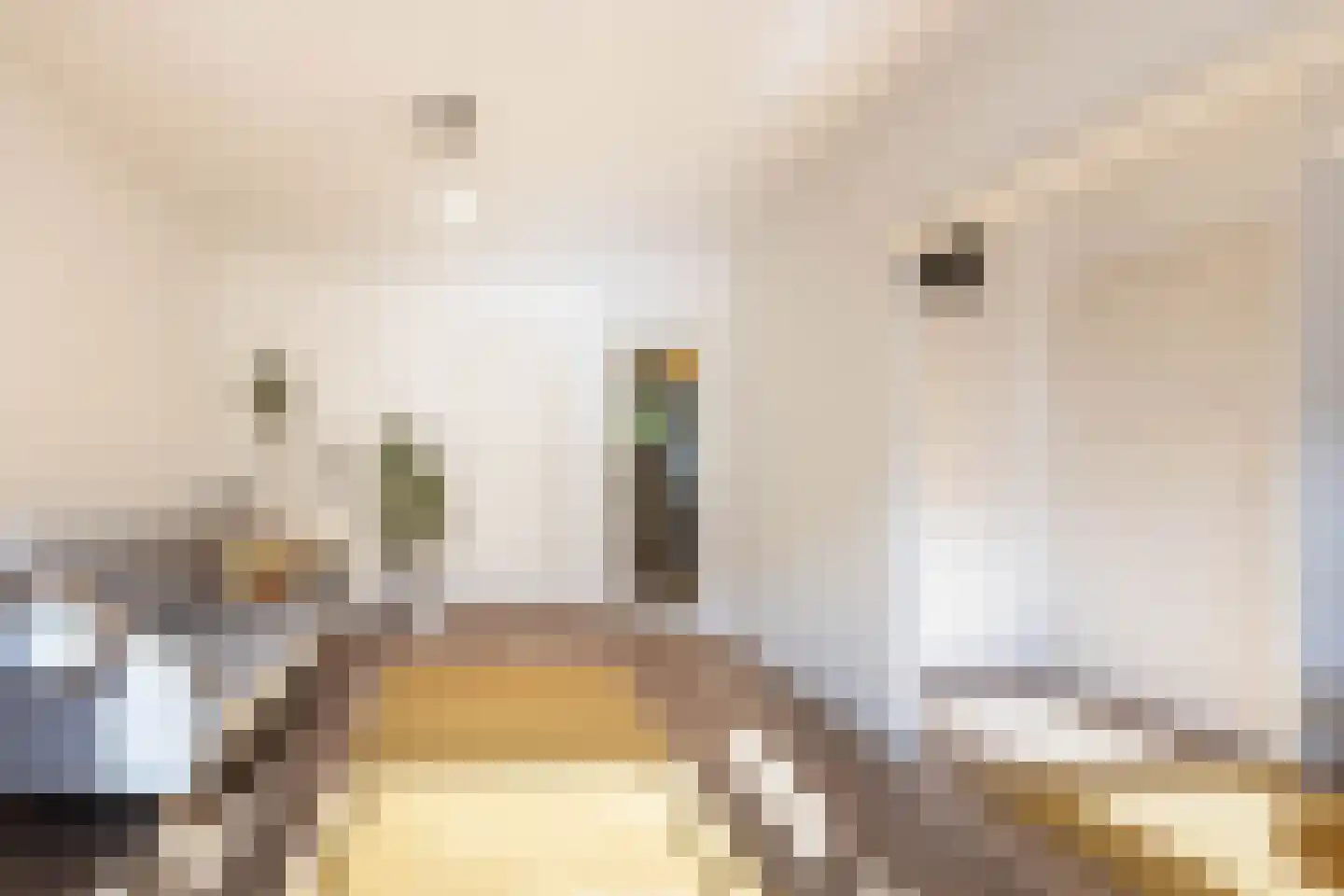 Aalsmeerweg 114 1 Amsterdam thumbnail 11