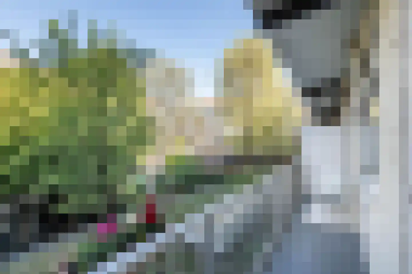 Aalsmeerweg 114 1 Amsterdam thumbnail 20