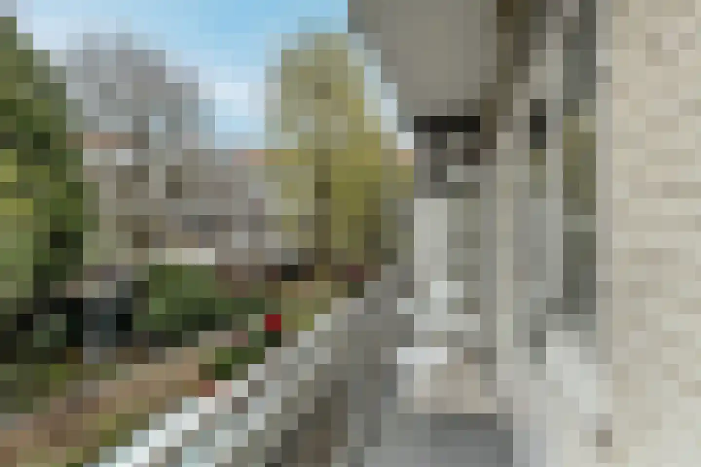 Aalsmeerweg 114 1 Amsterdam thumbnail 21
