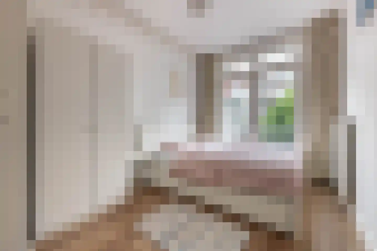 Aalsmeerweg 114 1 Amsterdam thumbnail 28