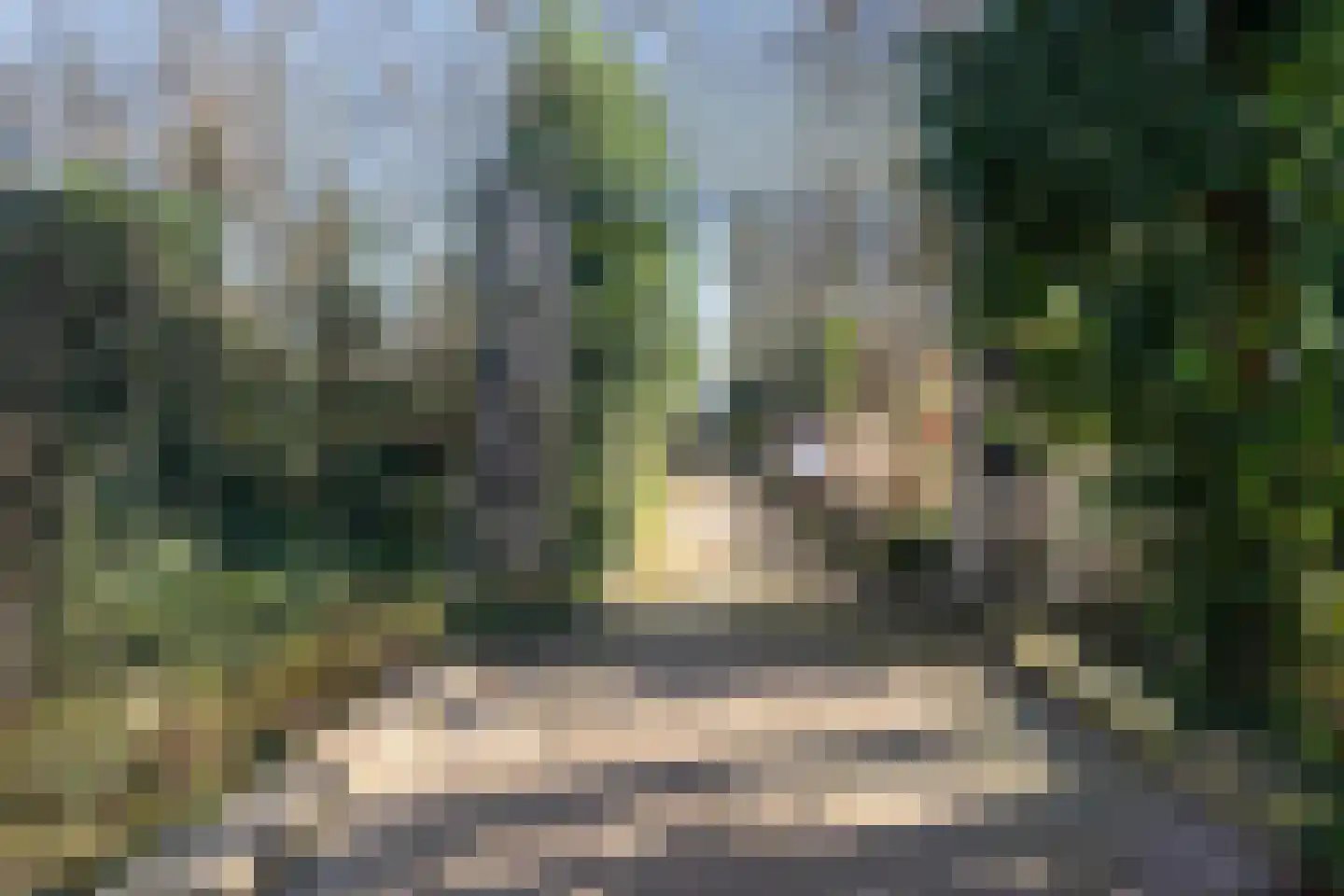 Aalsmeerweg 114 1 Amsterdam thumbnail 38
