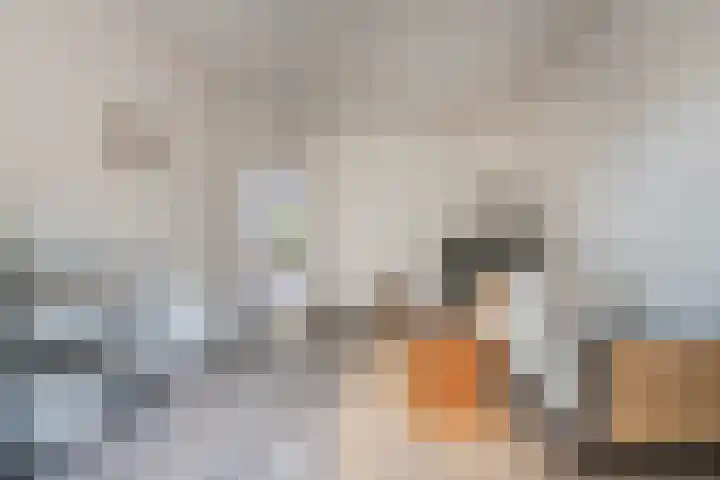 Aalsmeerweg 116 H Amsterdam thumbnail 7