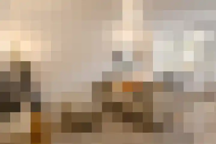 Aalsmeerweg 117 H Amsterdam thumbnail 11