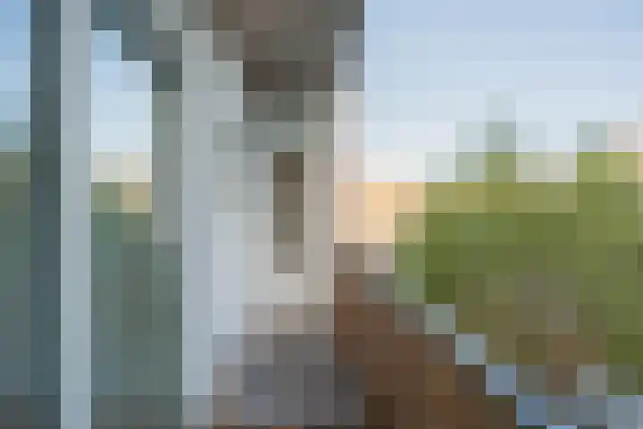 Aalsmeerweg 125 3 Amsterdam thumbnail 10