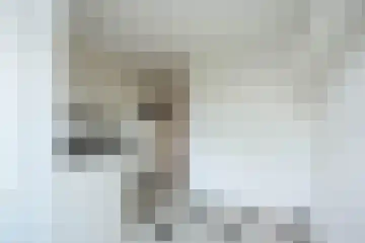 Aalsmeerweg 125 3 Amsterdam thumbnail 9