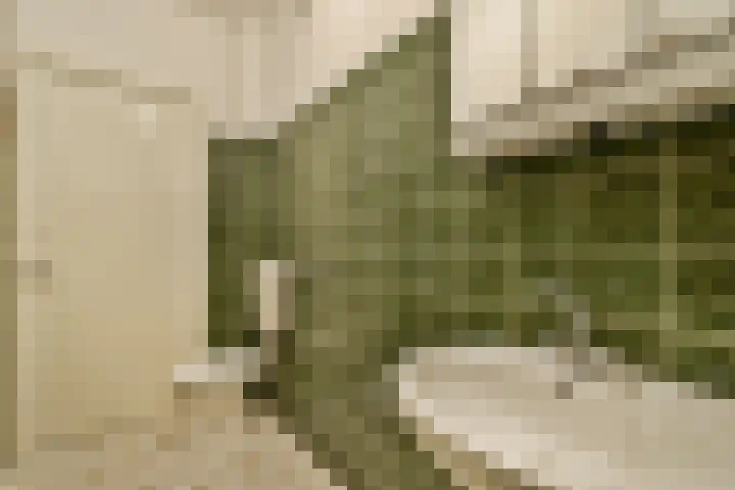 Aalsmeerweg 127 3 Amsterdam thumbnail 15