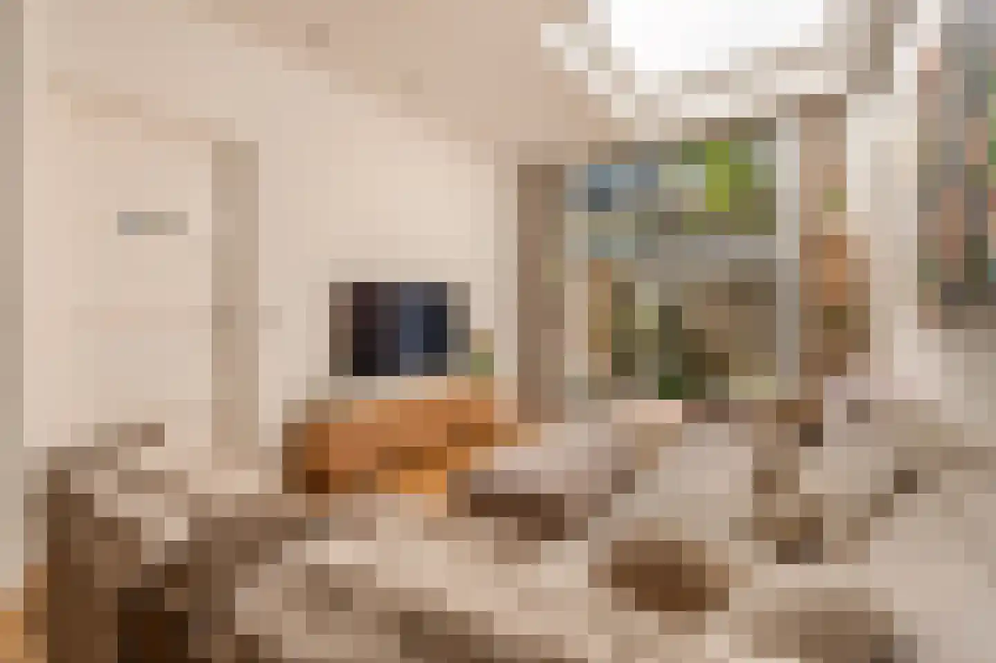 Aalsmeerweg 26 1 Amsterdam thumbnail 10