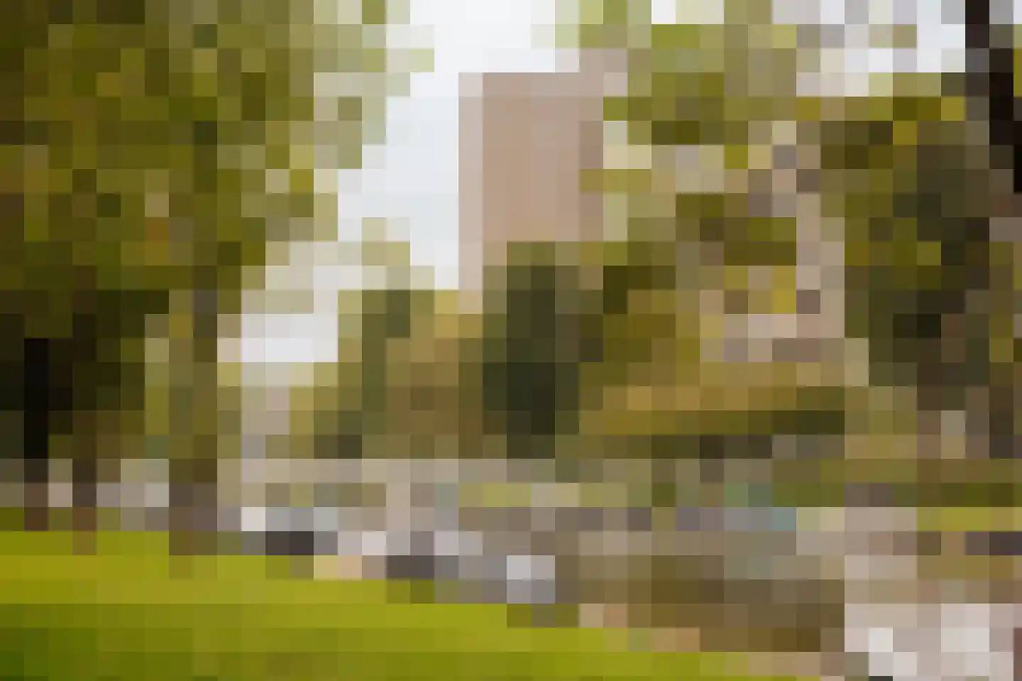 Aalsmeerweg 26 1 Amsterdam thumbnail 38
