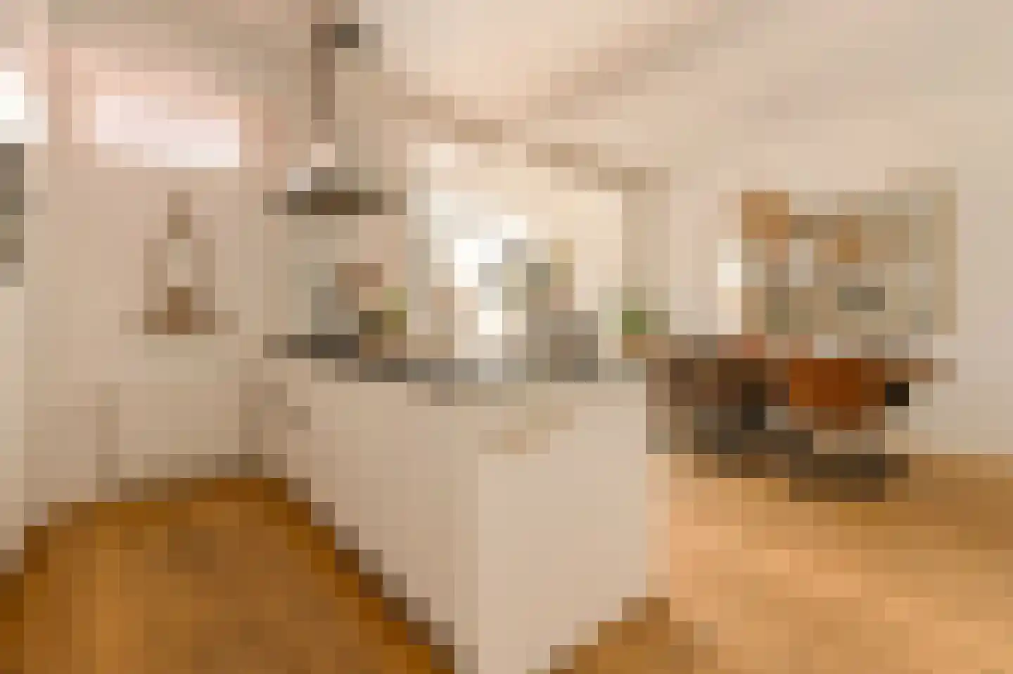 Aalsmeerweg 26 1 Amsterdam thumbnail 6
