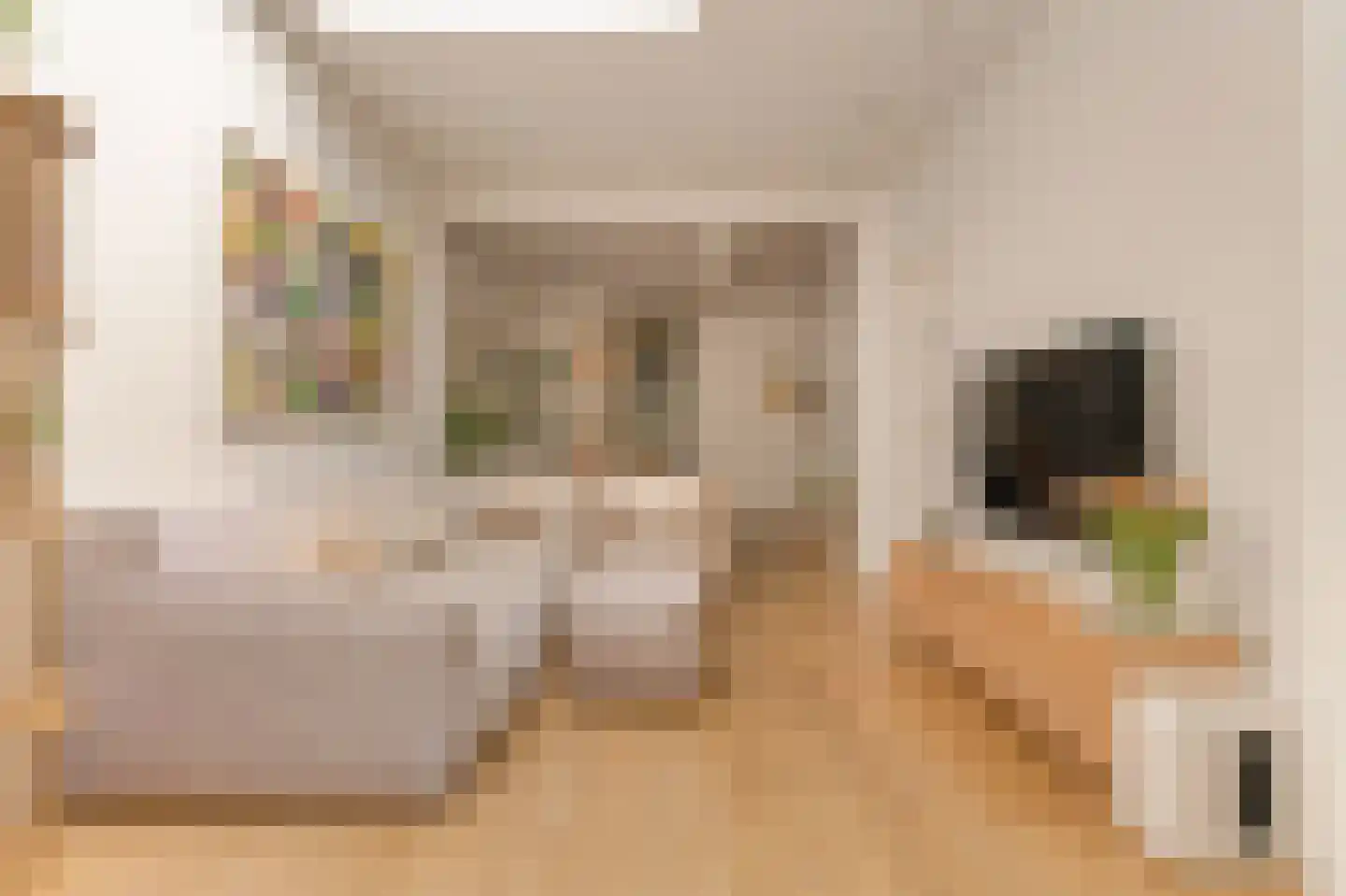 Aalsmeerweg 26 2 Amsterdam thumbnail 12