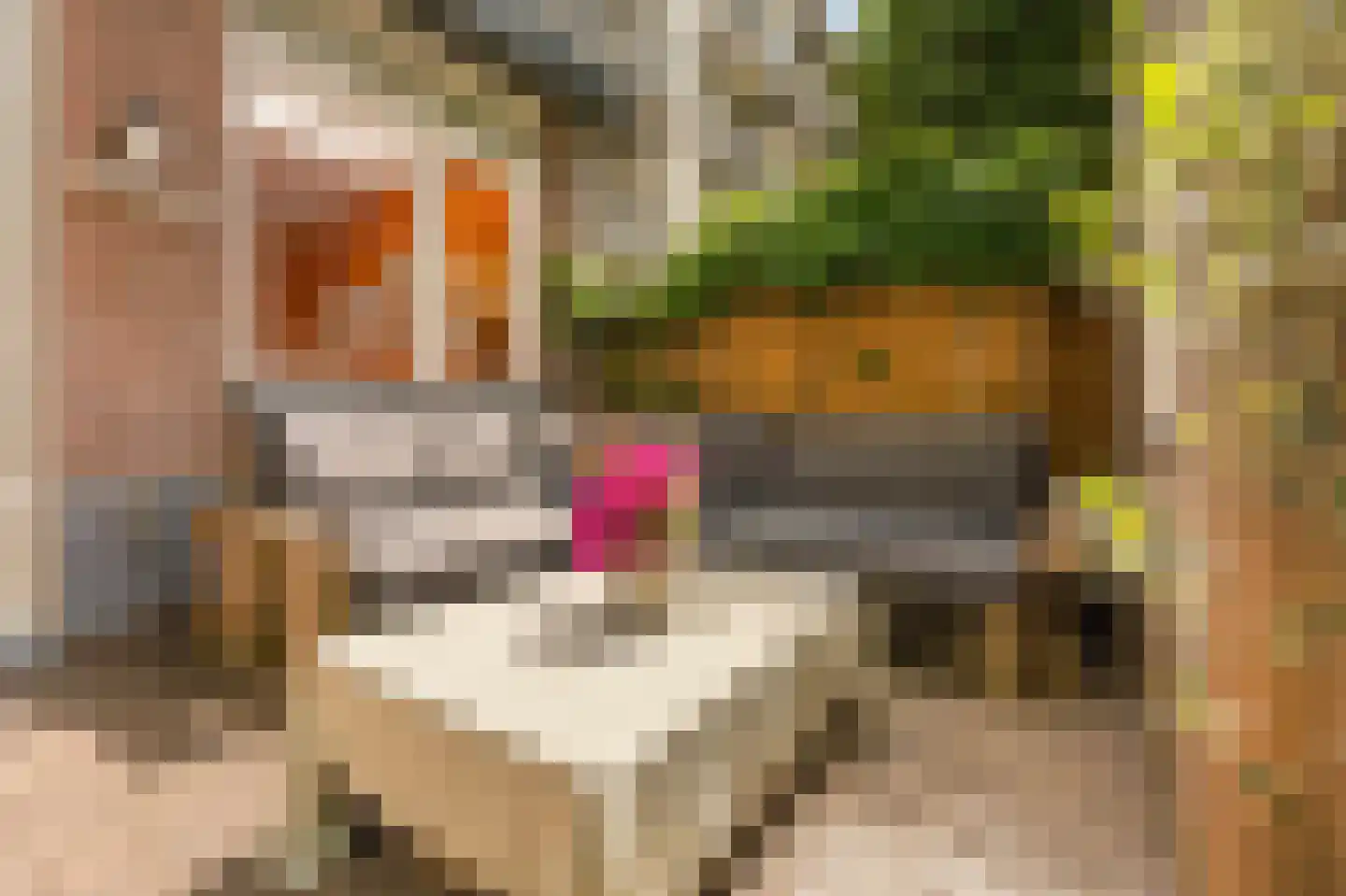 Aalsmeerweg 26 2 Amsterdam thumbnail 14