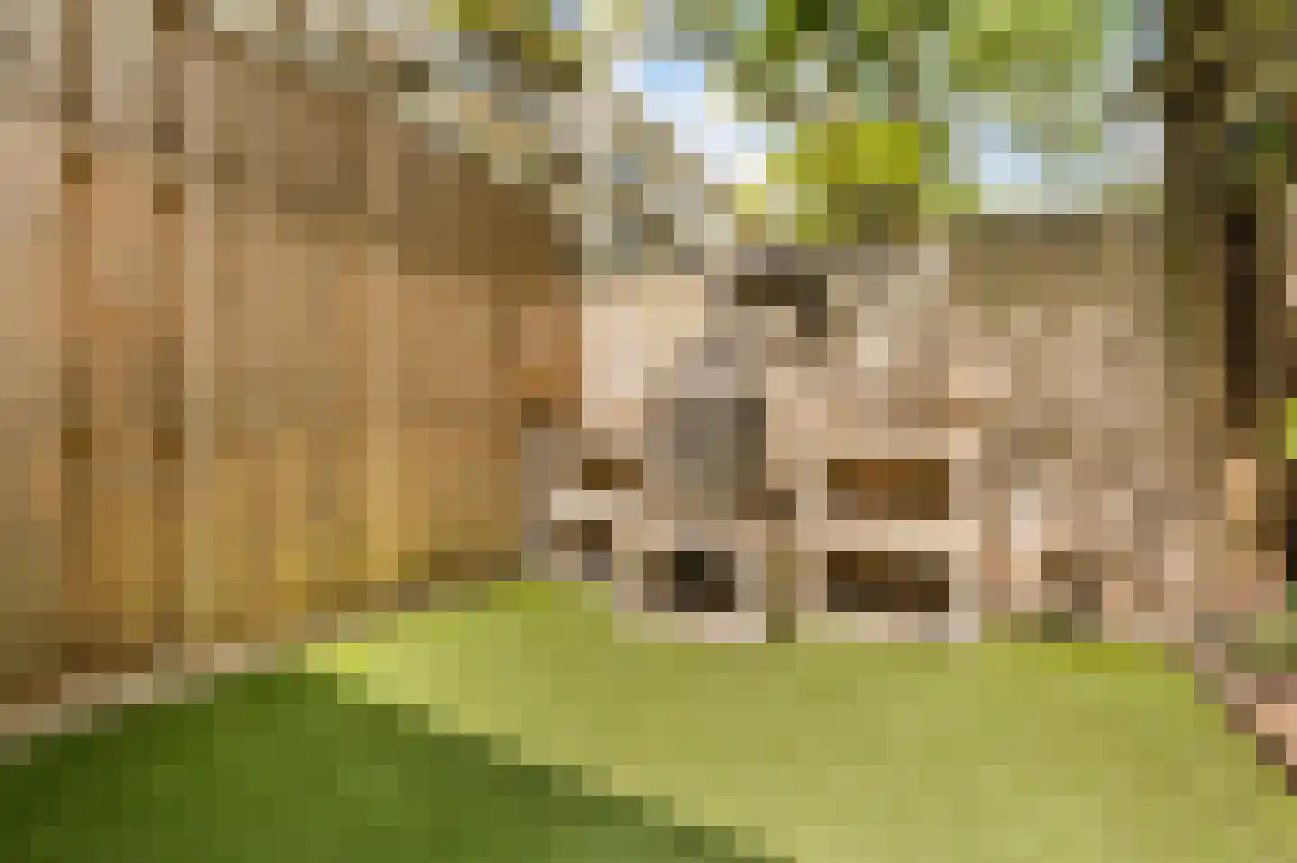 Aalsmeerweg 26 2 Amsterdam thumbnail 15