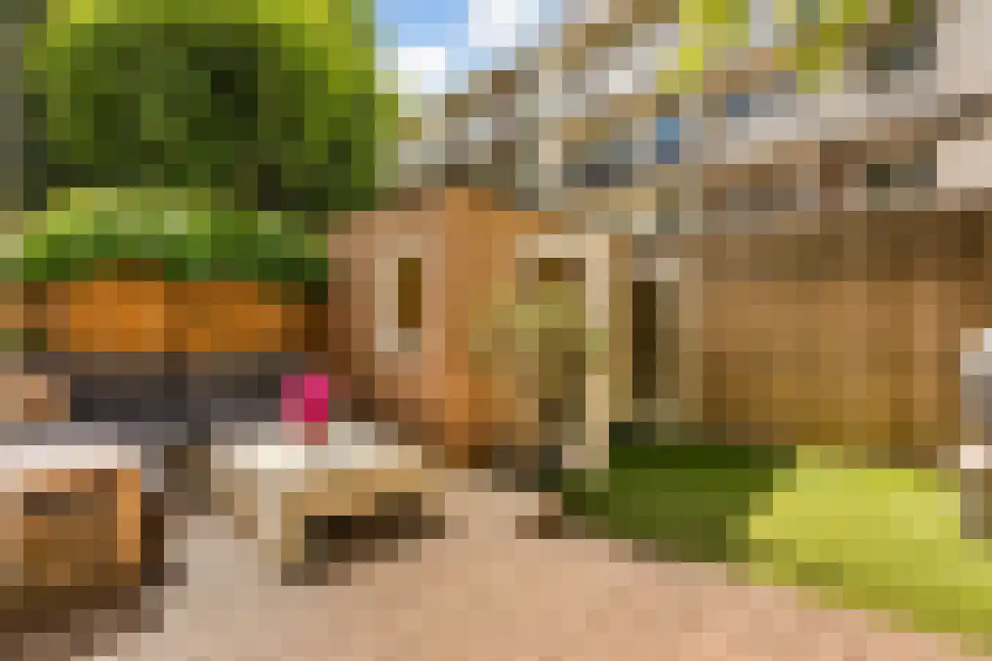 Aalsmeerweg 26 2 Amsterdam thumbnail 16