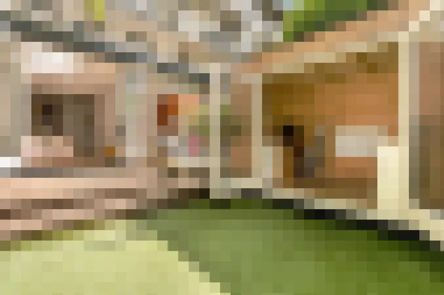 Aalsmeerweg 26 2 Amsterdam thumbnail 17