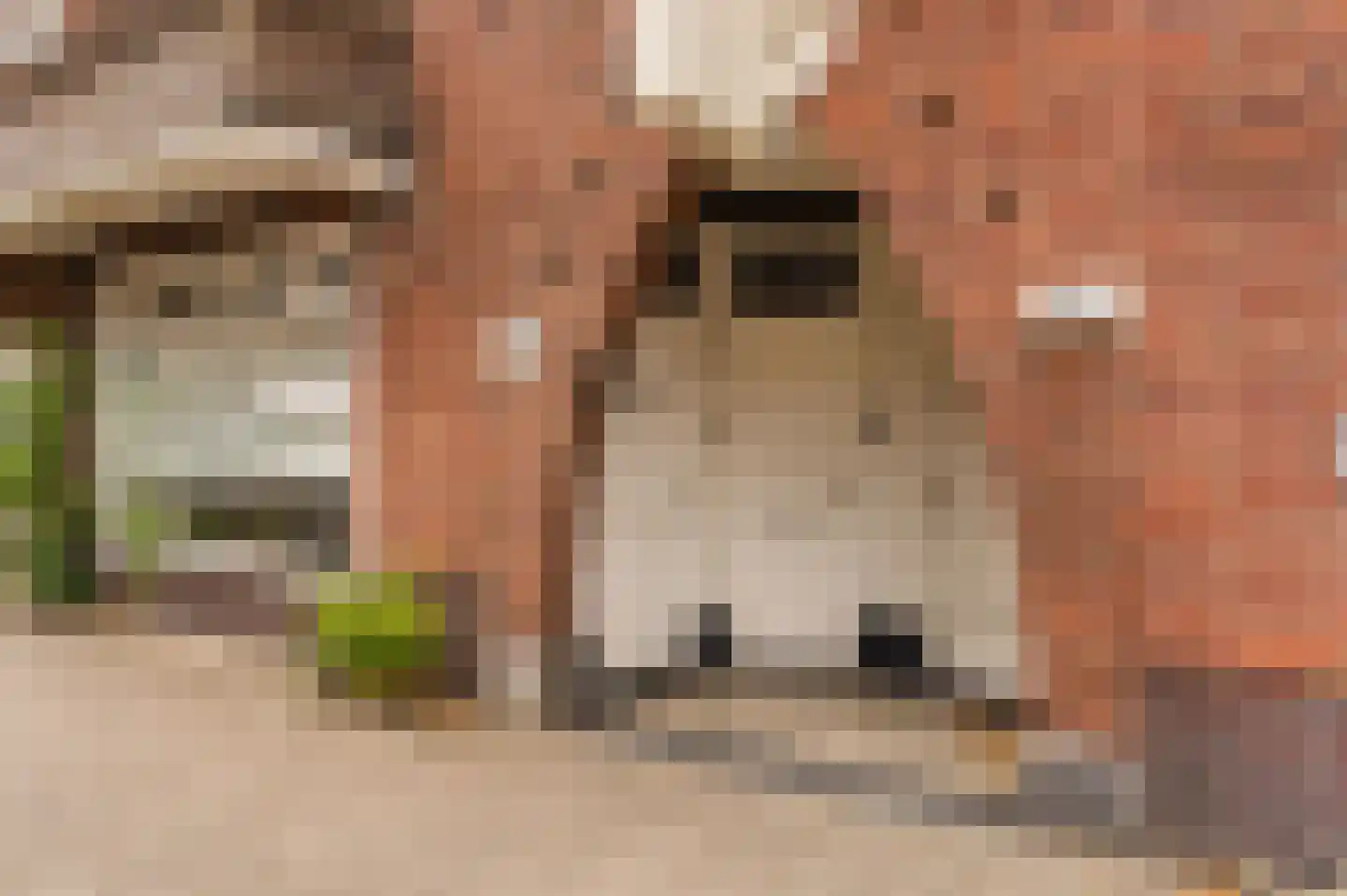 Aalsmeerweg 26 2 Amsterdam thumbnail 27