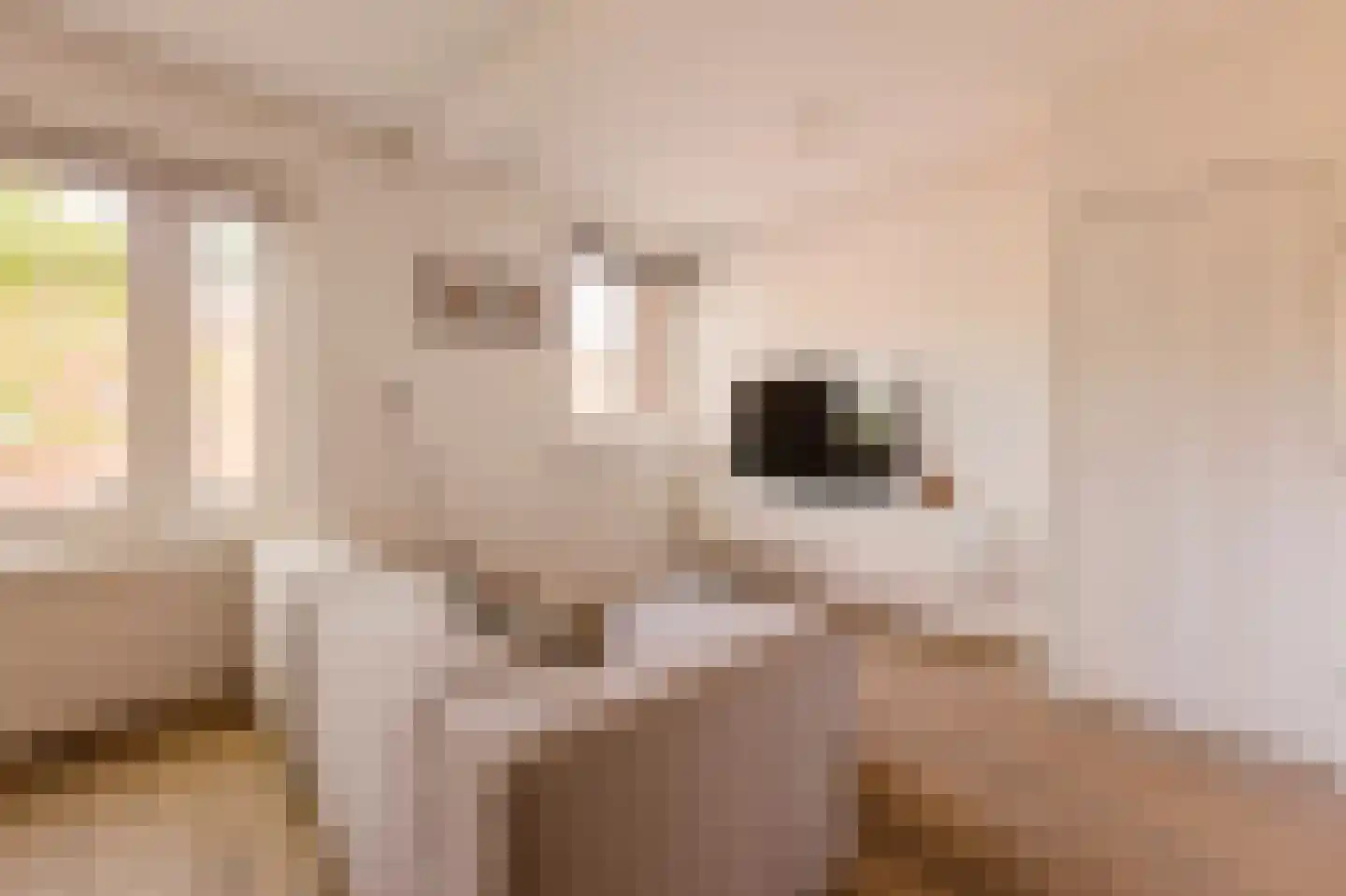 Aalsmeerweg 27 3 Amsterdam thumbnail 9
