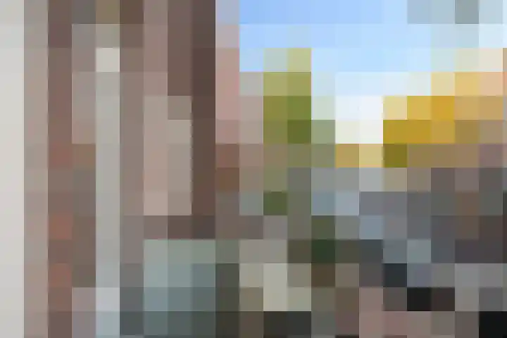 Aalsmeerweg 29 1 Amsterdam thumbnail 16