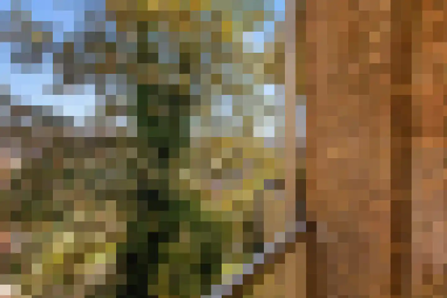 Aalsmeerweg 3 3 Amsterdam thumbnail 12