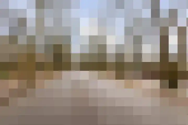 Aalsmeerweg 30 3 Amsterdam thumbnail 17