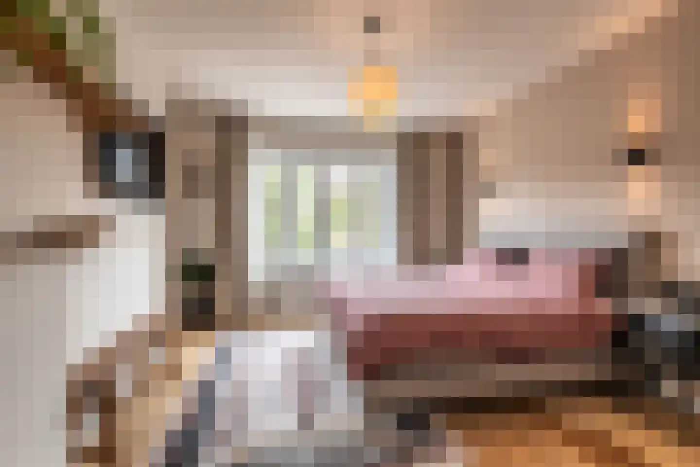 Aalsmeerweg 30 3 Amsterdam thumbnail 21