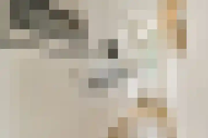 Aalsmeerweg 30 3 Amsterdam thumbnail 6