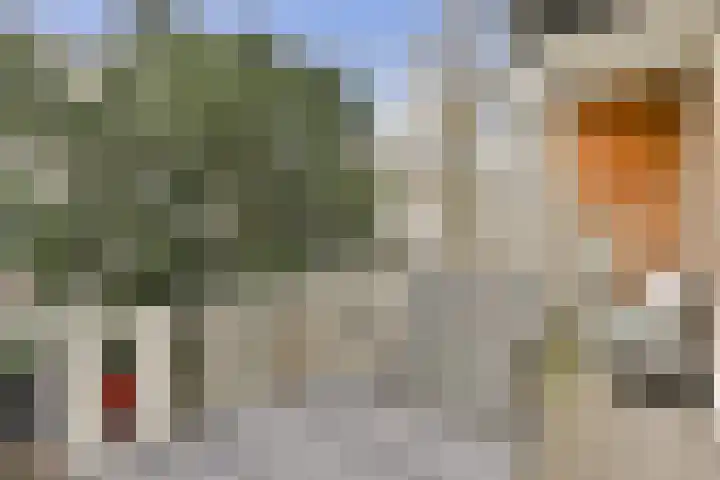 Aalsmeerweg 30 3 Amsterdam thumbnail 8