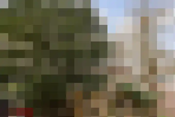 Aalsmeerweg 30 3 Amsterdam thumbnail 9