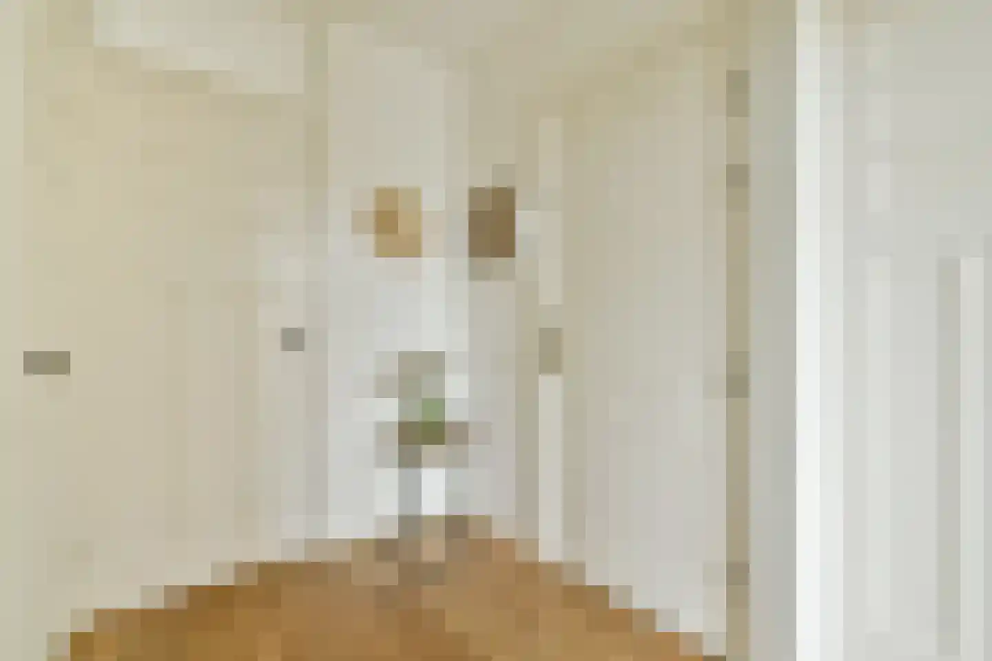 Aalsmeerweg 31 1 Amsterdam thumbnail 9